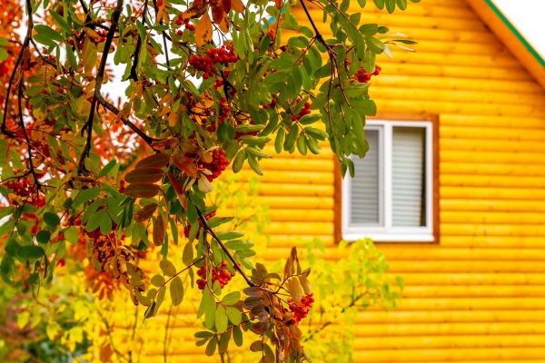 Cost of Garden Window Replacement in Gaithersburg